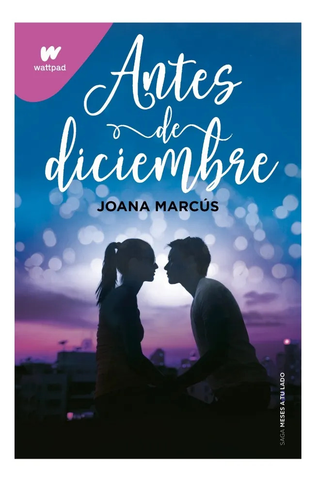 ANTES DE DICIEMBRE - JOANA MARCÚS