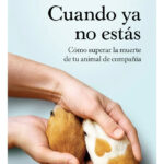 CUANDO YA NO ESTÁS - LAURA VIDAL