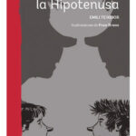 EL CRIMEN DE LA HIPOTENUSA - EMILI TEIXIDOR