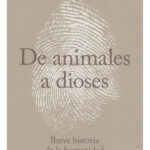 DE ANIMALES A DIOSES ( SAPIENS ) - YUVAL NOAH HARARI