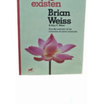 LOS MILAGROS EXISTEN - BRIAN WEISS Y AMY E. WEISS