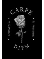 CARPE DIEM. APROVECHA EL PRESENTE - HUMBERTO MONTESINOS