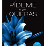 PÍDEME LO QUE QUIERAS - MEGAN MAXWELL