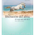 LA LIBERACIÓN DEL ALMA - MICHAEL A. SINGER