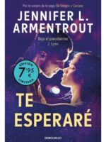 TE ESPERARÉ - JENNIFER L. ARMENTROUT