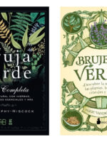 LA BRUJA VERDE + BRUJERÍA VERDE
