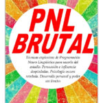 PNL BRUTAL - PAUL LE GRAND