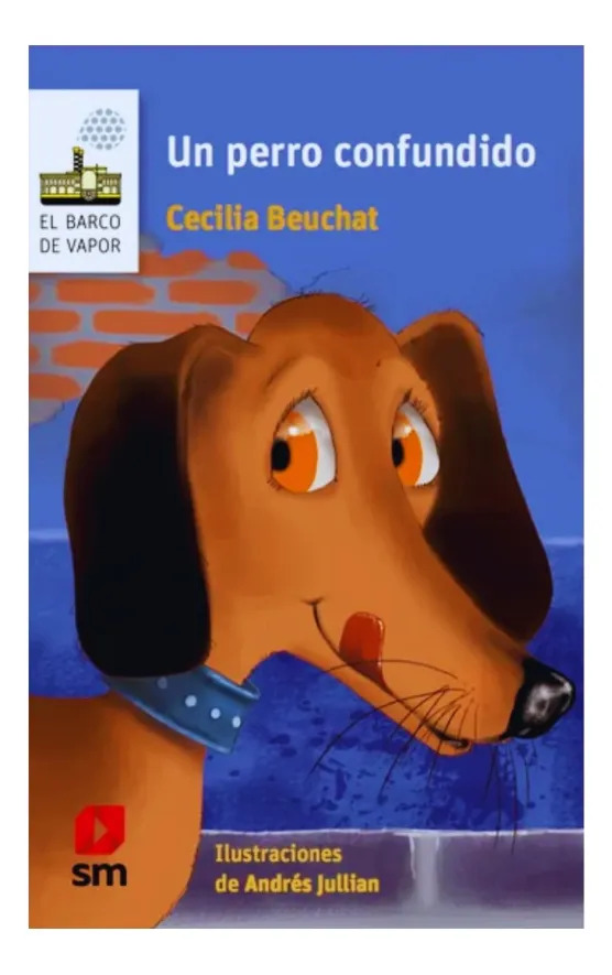 UN PERRO CONFUNDIDO - CECILIA BEAUCHAT