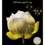 ADIVINA QUIÉN SOY - MEGAN MAXWELL