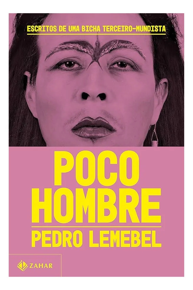 POCO HOMBRE - PEDRO LEMEBEL
