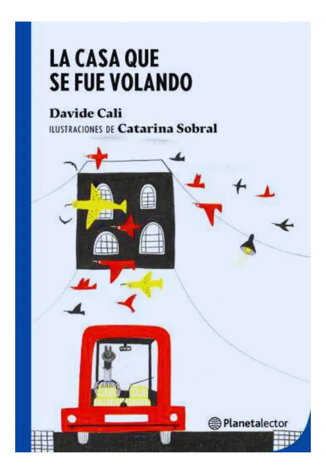 LA CASA QUE SE FUE VOLANDO - DAVIDE CALI