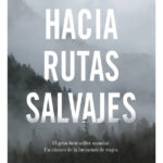 HACIA RUTAS SALVAJES - JON KRAKAUER