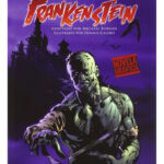 FRANKENSTEIN / NOVELA GRÁFICA - MARY SHELLEY