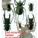 LOS ESCARABAJOS VUELAN AL ATARDECER - MARÍA GRIPE