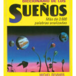 DICCIONARIO DE LOS SUEÑOS - MICHAEL DEVIVIER