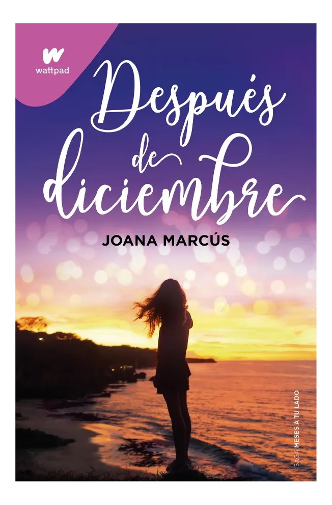 DESPUÉS DE DICIEMBRE - JOANA MARCÚS