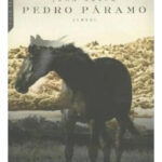 PEDRO PÁRAMO - JUAN RULFO